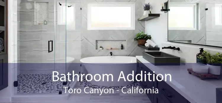 Bathroom Addition Toro Canyon - California