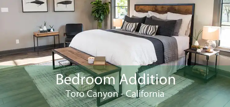 Bedroom Addition Toro Canyon - California