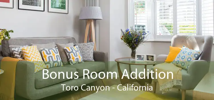 Bonus Room Addition Toro Canyon - California