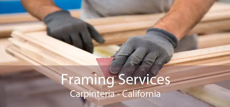 Framing Services Carpinteria - California