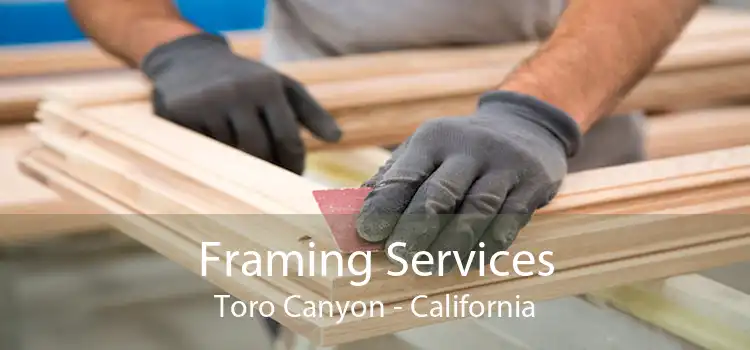 Framing Services Toro Canyon - California