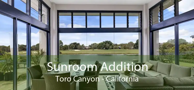 Sunroom Addition Toro Canyon - California